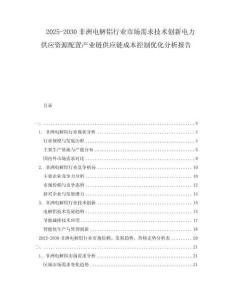 2025-2030非洲電解鋁行業(yè)市場(chǎng)需求技術(shù)創(chuàng)新電力供應(yīng)資源配置產(chǎn)業(yè)鏈供應(yīng)鏈成本控制優(yōu)化分析報(bào)告