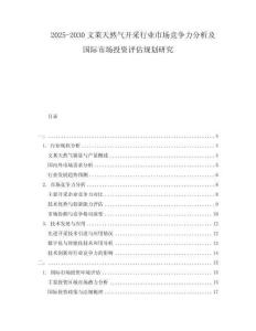 2025-2030文萊天然氣開采行業(yè)市場競爭力分析及國際市場投資評估規(guī)劃研究