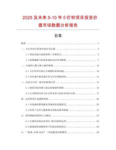 2025及未來5-10年小打鈴項(xiàng)目投資價值市場數(shù)據(jù)分析報告