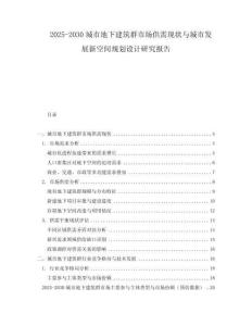 2025-2030城市地下建筑群市場供需現(xiàn)狀與城市發(fā)展新空間規(guī)劃設計研究報告