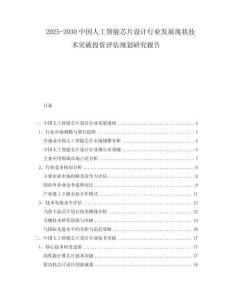 2025-2030中國人工智能芯片設(shè)計行業(yè)發(fā)展現(xiàn)狀技術(shù)突破投資評估規(guī)劃研究報告
