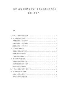 2025-2030中國人工智能行業(yè)市場規(guī)模與投資機會深度分析報告