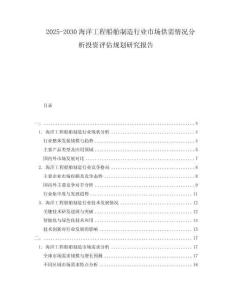 2025-2030海洋工程船舶制造行業(yè)市場(chǎng)供需情況分析投資評(píng)估規(guī)劃研究報(bào)告