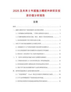 2025及未来5年超强力精密冲床项目投资价值分析报告