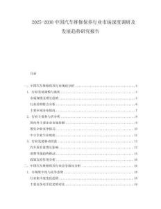2025-2030中國(guó)汽車維修保養(yǎng)行業(yè)市場(chǎng)深度調(diào)研及發(fā)展趨勢(shì)研究報(bào)告