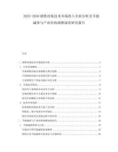 2025-2030鋼鐵冶煉技術市場投入全面分析及節(jié)能減排與產業(yè)結構調整深度研究報告