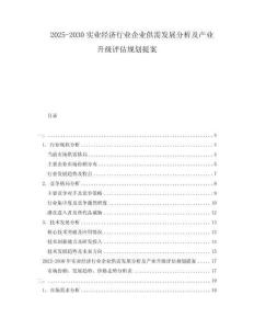 2025-2030實(shí)業(yè)經(jīng)濟(jì)行業(yè)企業(yè)供需發(fā)展分析及產(chǎn)業(yè)升級評估規(guī)劃提案