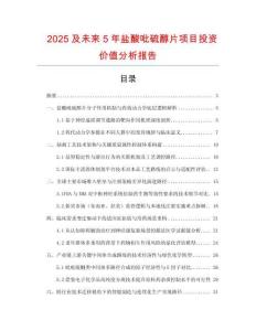 2025及未來(lái)5年鹽酸吡硫醇片項(xiàng)目投資價(jià)值分析報(bào)告
