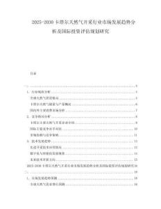 2025-2030卡塔爾天然氣開采行業(yè)市場(chǎng)發(fā)展趨勢(shì)分析及國際投資評(píng)估規(guī)劃研究