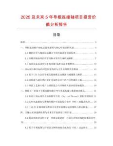2025及未來5年導(dǎo)板連接軸項(xiàng)目投資價(jià)值分析報(bào)告