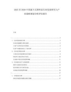 2025至2030中國液下式塑料泵行業發展研究與產業戰略規劃分析評估報告
