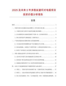 2025及未來5年多股絲瓷環(huán)對(duì)電極項(xiàng)目投資價(jià)值分析報(bào)告