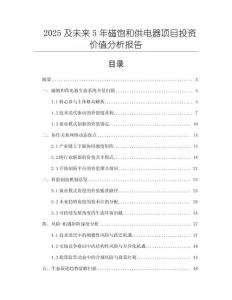 2025及未來5年磁飽和供電器項(xiàng)目投資價(jià)值分析報(bào)告