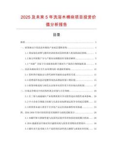 2025及未來(lái)5年洗浴木棉塊項(xiàng)目投資價(jià)值分析報(bào)告