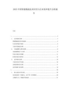 2025中國智能物流技術(shù)應(yīng)用與行業(yè)效率提升分析報(bào)告