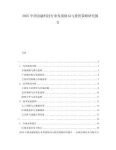 2025中國(guó)金融科技行業(yè)發(fā)展格局與投資策略研究報(bào)告