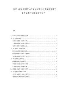 2025-2030中國石油開采領(lǐng)域新井技術(shù)深度實(shí)施方案及成本控制措施研究報告