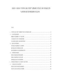 2025-2030中國石油天然氣勘探開發(fā)行業(yè)市場競爭與投資前景規(guī)劃探討總結(jié)