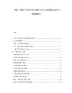 2025-2030中國衛(wèi)星互聯(lián)網(wǎng)星座建設(shè)規(guī)劃與商業(yè)應(yīng)用前景報告