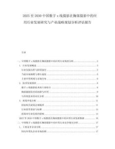 2025至2030中國(guó)數(shù)字x線攝影在胸部攝影中的應(yīng)用行業(yè)發(fā)展研究與產(chǎn)業(yè)戰(zhàn)略規(guī)劃分析評(píng)估報(bào)告