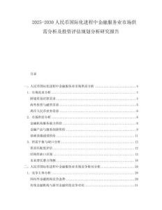 2025-2030人民幣國際化進程中金融服務業(yè)市場供需分析及投資評估規(guī)劃分析研究報告