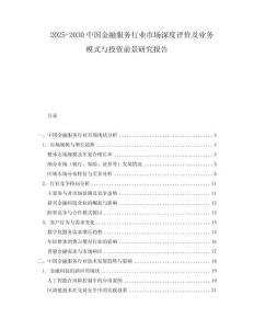 2025-2030中國金融服務行業(yè)市場深度評價及業(yè)務模式與投資前景研究報告