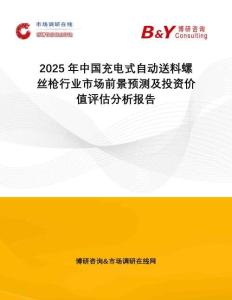 2025年中國充電式自動送料螺絲槍行業(yè)市場前景預測及投資價值評估分析報告