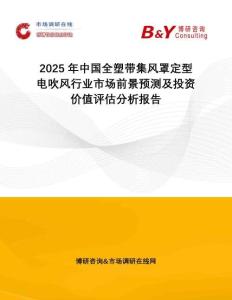 2025年中國全塑帶集風罩定型電吹風行業(yè)市場前景預測及投資價值評估分析報告
