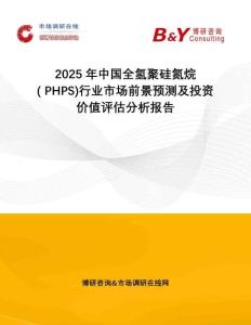 2025年中國全氫聚硅氮烷( PHPS)行業(yè)市場前景預(yù)測及投資價(jià)值評(píng)估分析報(bào)告