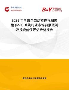 2025年中國全自動物理氣相傳輸 (PVT) 系統(tǒng)行業(yè)市場前景預(yù)測及投資價值評估分析報告