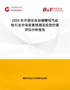 2025年中國全自動(dòng)鉚螺母氣動(dòng)槍行業(yè)市場前景預(yù)測及投資價(jià)值評估分析報(bào)告