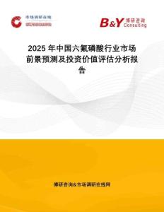 2025年中国六氟磷酸行业市场前景预测及投资价值评估分析报告