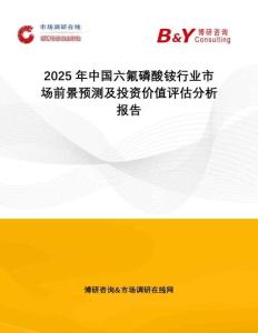 2025年中國六氟磷酸銨行業(yè)市場前景預(yù)測及投資價(jià)值評(píng)估分析報(bào)告