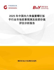 2025年中國(guó)內(nèi)六角偏置螺釘扳手行業(yè)市場(chǎng)前景預(yù)測(cè)及投資價(jià)值評(píng)估分析報(bào)告