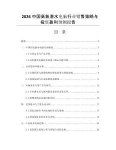 2026中國(guó)高氧潛水電腦行業(yè)銷售策略與投資盈利預(yù)測(cè)報(bào)告