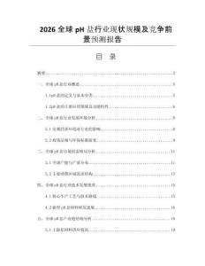 2026全球pH鹽行業(yè)現(xiàn)狀規(guī)模及競爭前景預(yù)測報(bào)告