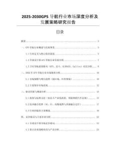 2025-2030GPS導(dǎo)航行業(yè)市場深度分析及發(fā)展策略研究報(bào)告