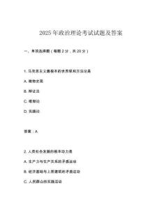 2025年政治理論考試試題及答案