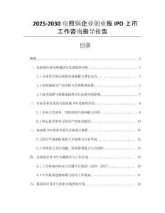 2025-2030電煎鍋企業(yè)創(chuàng)業(yè)板IPO上市工作咨詢指導(dǎo)報(bào)告