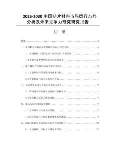 2025-2030中國貼片材料市場運(yùn)行態(tài)勢(shì)分析及未來競爭力研究研究報(bào)告