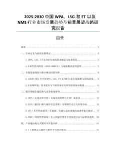 2025-2030中國(guó)WPA，LSG和FT以及NMS行業(yè)市場(chǎng)發(fā)展趨勢(shì)與前景展望戰(zhàn)略研究報(bào)告