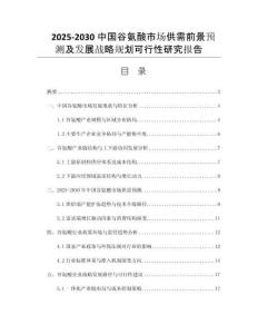 2025-2030中國谷氨酸市場供需前景預(yù)測及發(fā)展戰(zhàn)略規(guī)劃可行性研究報(bào)告