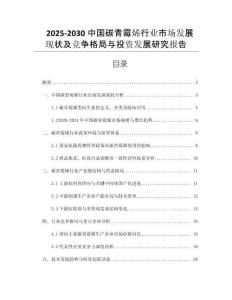 2025-2030中國(guó)碳青霉烯行業(yè)市場(chǎng)發(fā)展現(xiàn)狀及競(jìng)爭(zhēng)格局與投資發(fā)展研究報(bào)告