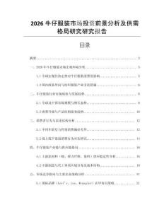 2026牛仔服裝市場投資前景分析及供需格局研究研究報告