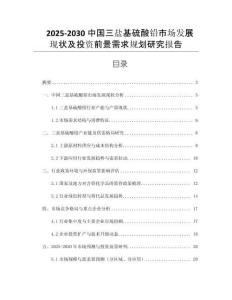 2025-2030中國三鹽基硫酸鉛市場發(fā)展現(xiàn)狀及投資前景需求規(guī)劃研究報告