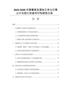 2025-2030中國葡萄及深加工市場銷售態(tài)勢與投資效益可行性研究報(bào)告