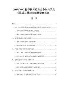 2025-2030打印耗材行業(yè)競爭形勢及營銷渠道發(fā)展趨勢剖析研究報告
