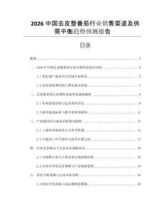 2026中國去皮整番茄行業(yè)銷售渠道及供需平衡趨勢預(yù)測報告