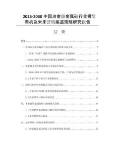 2025-2030中國(guó)冶金級(jí)金屬硅行業(yè)投資商機(jī)及未來(lái)營(yíng)銷(xiāo)渠道策略研究報(bào)告