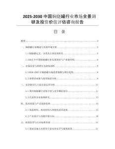 2025-2030中國燜燒罐行業(yè)市場全景調研及投資價值評估咨詢報告